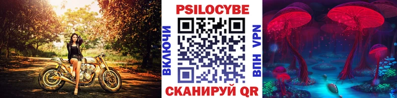 Псилоцибиновые грибы Cubensis  блэк спрут сайт  Стрежевой 